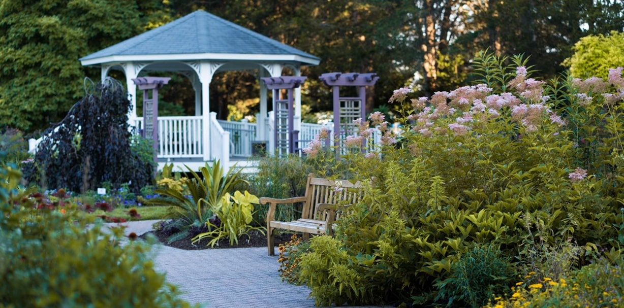 Why a Backyard Gazebo Is the Guest-Favorite Upgrade Your Airbnb Needs