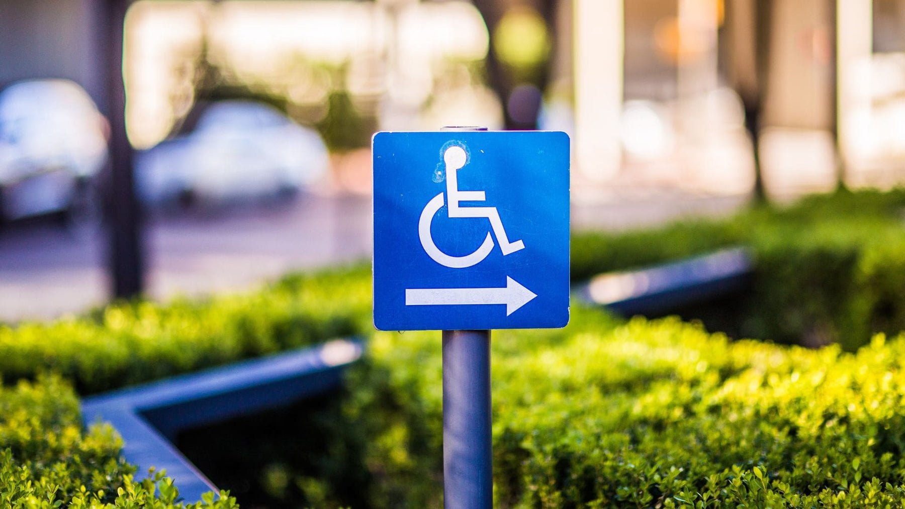 Wheelchair Accessible Travel Is Booming—Here’s How to Prepare Your Rental