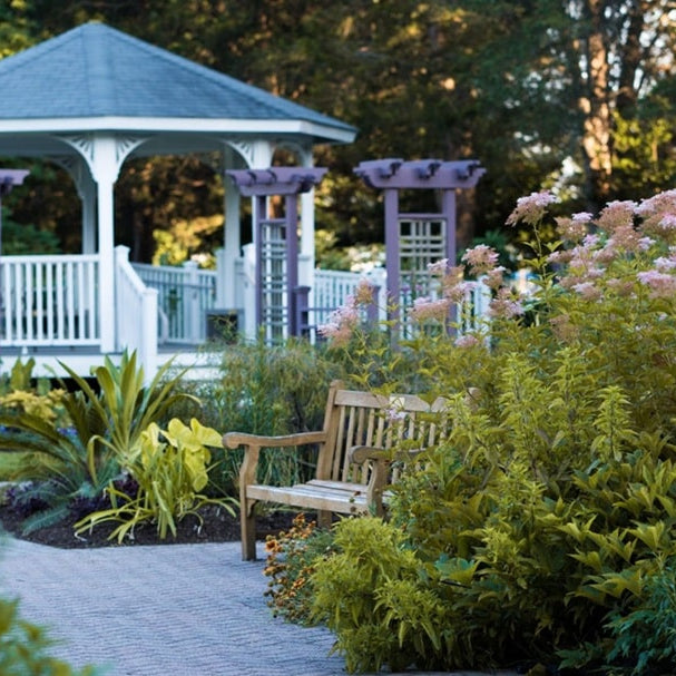 Why a Backyard Gazebo Is the Guest-Favorite Upgrade Your Airbnb Needs