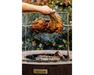 Arteflame Barbecue Grill Rotisserie For Arteflame Grill Cordless Motor
