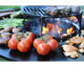 Arteflame "Grill Grate Riser"