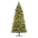 Brite Ideas LED Frasier Fir Tree Green
