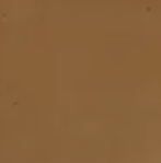 color swatch of brown colored Del Mar fire pit