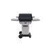 PGS Grills A Series 26" Gas Grill - Black