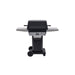 PGS Grills A Series 26" Gas Grill - Black