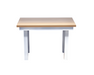 Todd_Pod_Stand_Tall_in_Comfort_Premium_Standing_Bench_for_Outdoor_Shower_Kit_-_Gray_1_d63d4ccd-e09e-40f5-b9b3-14214592a41b