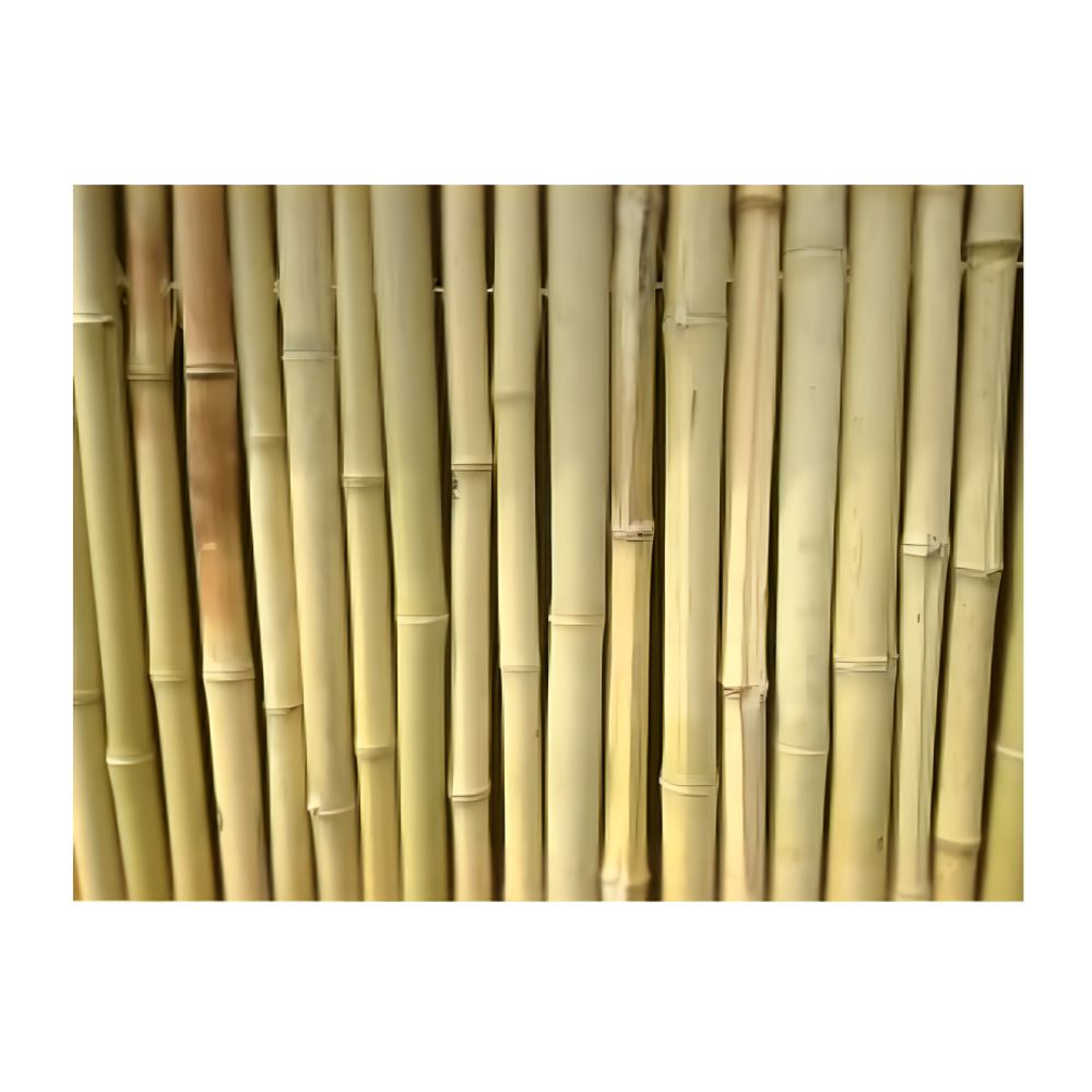 White_Sands_The_Islander_no_roof_plain_bamboo_for_outdoor_tiki_bar
