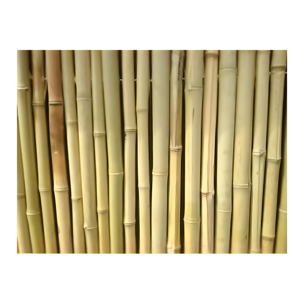 White Sands The islander with roof outdoor tiki bar plain bamboo