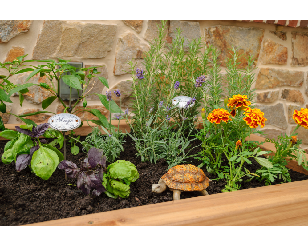 Yard Craft Premium 32'x 46' Elevated Garden Planter: Plant & Harvest