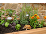 Yard Craft Premium 32'x 46' Elevated Garden Planter: Plant & Harvest