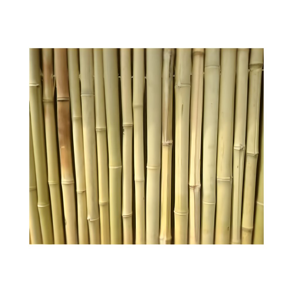 white sands outdoor tiki bar cabana combo 8x8 plain bambo